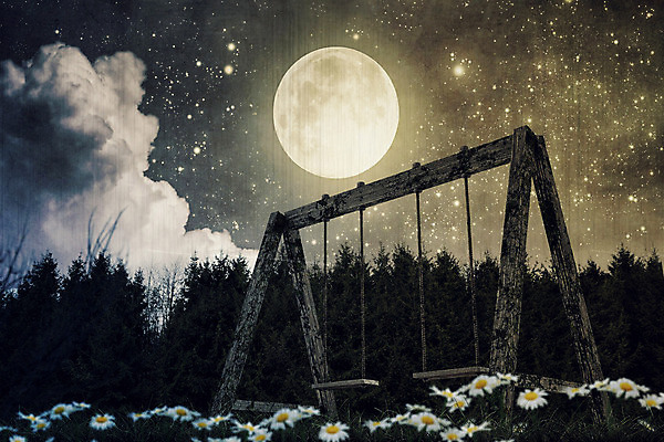 포토 JPG 해외이미지 나무 공원 밧줄 백그라운드 의자 일러스트 자연 놀이 사람없음 야외 목재 장난감 3D 정원 달 게임 널 놀이터 숲 오브젝트 그네 만들기 오싹 해외202004 해외포토 자연요소 식물 공공시설 줄 가구 재료 모션 디지털합성 생태계 파일형식 이미지허브