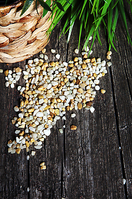 포토 JPG 해외이미지 식물 백그라운드 컨셉 잎 자연 날씨 사람없음 목재 쌓기 바구니 우주 환경 조약돌 시골 판넬 배열 원예 질감 색동 짜임 내추럴 수목 심기 옛날 정물화 카피스페이스 그리너리 세련 해외202004 해외포토 나무 재료 모션 취미 공백 돌_바위 그림 생태계 파일형식 트랜드컬러 이미지허브