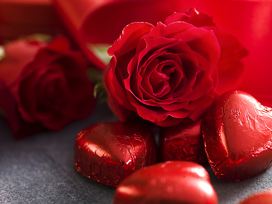 포토 JPG 해외이미지 발렌타인데이 근접촬영 사람없음 빨간색 장미 초콜릿 하트 오브젝트 해외포토 모양 꽃 뷰포인트 컬러 데이이벤트 디저트 파일형식 이미지허브