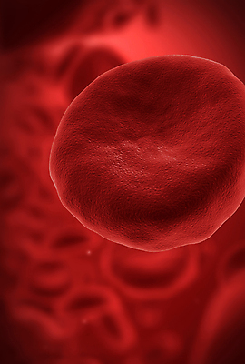 포토 JPG 해외이미지 세포 사람없음 빨간색 3D 적혈구 혈구 해외202004 해외포토 컬러 디지털합성 혈관 파일형식 이미지허브