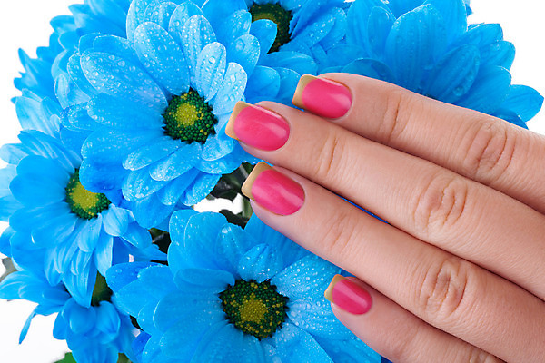 포토 JPG 해외이미지 손 꽃 손가락 미술 사람없음 빛 유행 화장품 덮개 손톱 돌봄 위생관리 아크릴 스타일 해외202004 해외포토 식물 모션 재질 문화예술 관리 신체부위 뷰티 뚜껑 파일형식 이미지허브