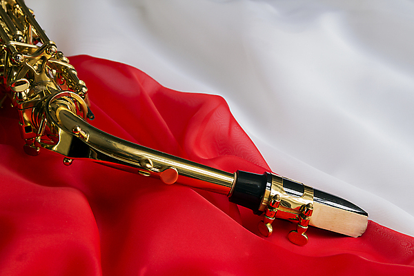 포토 JPG 해외이미지 1 음악 백그라운드 추상 사람없음 빨간색 빛 우주 기구 침대 직물 주름 황금 고급 실크 색소폰 순수 질감 웨이브 광택 시트 재즈 놋쇠 마우스피스 접기 스타일 해외202004 해외포토 컬러 가구 컨셉 무늬 모션 문화예술 목관악기 파일형식 이미지허브