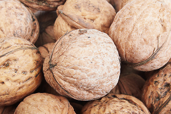 포토 JPG 해외이미지 음식 줄기 백그라운드 농업 다이어트 과일 재료 자연 벽지 건조 건강 씨앗 사람없음 갈색 쌓기 견과류 껍질 가을 균열 맛 먹기 묘사 유기농 호두 제비 내추럴 구성 채식주의자 많음 해외202004 해외포토 식물 웰빙 계절 산업 컬러 컨셉 모션 조류 생태계 채식 파일형식 이미지허브