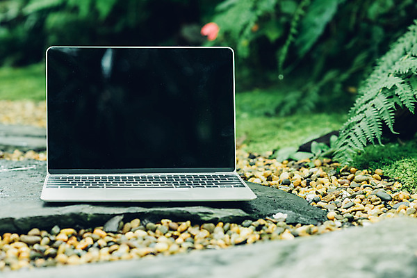 포토 JPG 해외이미지 식물 직업 라이프스타일 커피 백그라운드 컨셉 비즈니스 자연 탁자 아침 모바일 휴가 주택 직장 사람없음 야외 컵 초록색 노트북 스마트폰 컴퓨터 사무실 우주 스크린 정원 공책 봄 자유 키보드 업무 작업실 연결 디자이너 작가 무선전화기 책상 멀리 고용 프리랜서 해외202004 해외포토 주간 식기 계절 음료 컬러 가구 회사 문구용품 건물 생활 전자제품 핸드폰 스마트기기 구직 작업 전화기 생태계 채용 파일형식 이미지허브