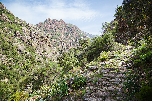 포토 JPG 해외이미지 유럽 섬 여행 자국 자연 하늘 산 풍경 사람없음 야외 초록색 파란색 걷기 계곡 프랑스 오솔길 지중해 언덕 내추럴 프랑스어 코르시카 해외202004 해외포토 문자 나라 길 바다 컬러 모션 생태계 파일형식 이미지허브