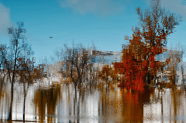 포토 JPG 해외이미지 호수 잎 하늘 미술 풍경 사람없음 빨간색 물 파란색 반사 노란색 가을 연못 해외202004 해외포토 자연요소 식물 계절 컬러 문화예술 파일형식 이미지허브