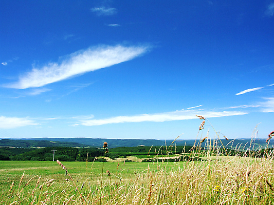 포토 JPG 해외이미지 사람없음 해외202004 해외포토 파일형식 이미지허브