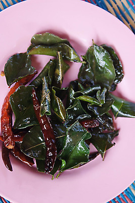 포토 JPG 해외이미지 접시 문화 음식 분홍색 잎 채소 재료 태국 고추 건강 동양인 사람없음 빨간색 초록색 튀김 신선 뜨거움 먹기 허브 향신료 무릎 라임 후추 내추럴 채식주의자 해외202004 해외포토 식물 식기 아시아 컬러 과일 모션 인종 신체부위 채식 향미료 파일형식 이미지허브