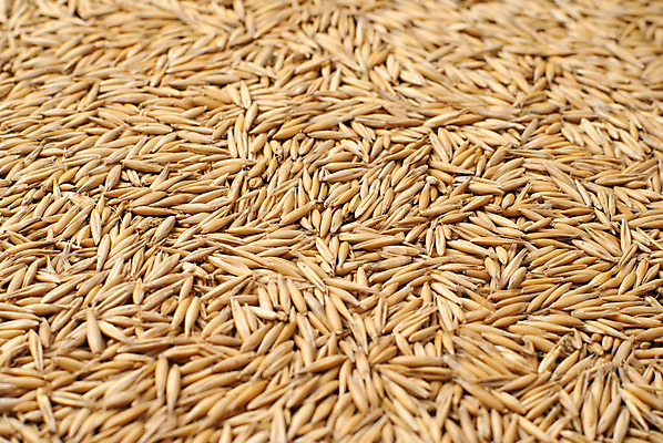 포토 JPG 해외이미지 식물 웰빙 음식 조각 농업 다이어트 재료 자연 건조 건강 식이요법 옥수수 씨앗 사람없음 농작물 갈색 노란색 식사 흰색 아침식사 낟알 시리얼 밀 유기농 질감 내추럴 고립 뮤즐리 오트밀 채식주의자 귀리 해외202004 해외포토 산업 컬러 곡류 생태계 채식 파일형식 이미지허브