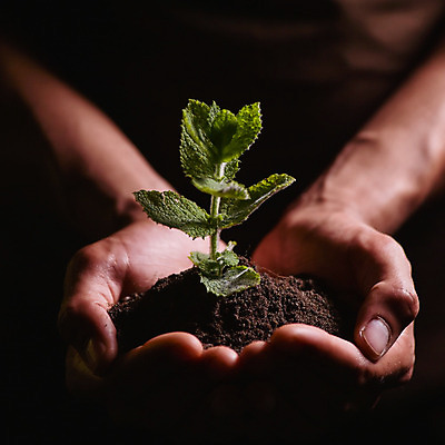 포토 JPG 해외이미지 주간 손 들기 야외 신체부위 새싹 흙 해외202004 해외포토 자연요소 식물 모션 사람 파일형식 이미지허브