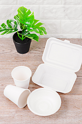 포토 JPG 해외이미지 식물 그릇 식기 접시 종이 음식 컨셉 포장 유리 사랑 사람없음 컵 초록색 세트 상자 세계 소풍 갈색 환경 주방 공백 재활용 흰색 사발 떨어짐 상품 일회용 컨테이너 수집 에코 유기농 팩 패키지 섬유 소매 내추럴 판지 바이오 해외202004 해외포토 웰빙 감정 산업 컬러 재질 야외활동 화장품 직물 사기그릇 친환경 파일형식 이미지허브