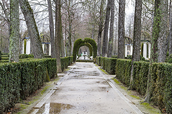 포토 JPG 해외이미지 나무 식물 디자인 영어 계절 공원 꽃 행복 여행 가구 백그라운드 잎 꽃무늬 자연 풍경 잔디 사람없음 야외 장식 빨간색 초록색 여름 컬러풀 노란색 환경 정원 침묵 봄 활발 튤립 벚꽃 신선 조경 장면 해외202004 해외포토 문자 공공시설 감정 컬러 생활용품 컨셉 무늬 소리 생태계 파일형식 이미지허브