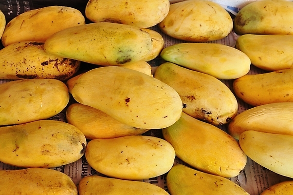 포토 JPG 해외이미지 음식 과일 포장 디저트 건강 사람없음 빨간색 초록색 노란색 신선 달콤 나무상자 먹기 상쾌 유기농 망고 수납 숙성 이국적 해외202004 해외포토 웰빙 감정 컬러 모션 상자 맛 열대과일 파일형식 이미지허브