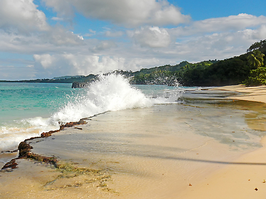 포토 JPG 해외이미지 나무 모래 파도 바다 섬 여행 자연 하늘 손바닥 풍경 사람없음 야외 물 여름 파란색 모래사장 기댐 만 보트 산호 떨어짐 암초 코코넛 대서양 석호 공화국 이국적 터키석 파라다이스 해외202004 해외포토 자연요소 식물 손 계절 나라 컬러 컨셉 배_교통 과일 모션 자포동물 보석 생태계 파일형식 이미지허브