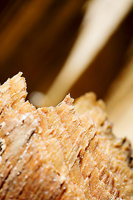 포토 JPG 해외이미지 교육 종이 얼굴 과학 백그라운드 컨셉 생각 추상 아이디어 창조 사람 사람없음 목재 옆모습 머리 환자 마음 시골 퍼즐 질병 뇌 문제 구김 우울증 정신과 지능 타격 편두통 혼란 해외202004 해외포토 나무 뷰포인트 무늬 재료 의학 모션 병원 신체부위 고통 파일형식 이미지허브