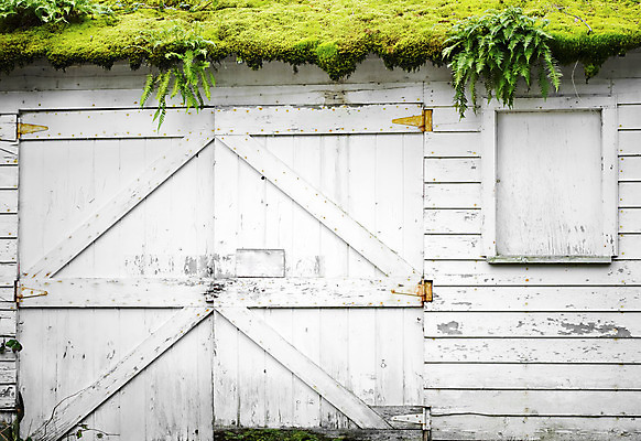 포토 JPG 해외이미지 창문 지붕 주택 프레임 이끼 외벽 사람없음 건물 초록색 문 흰색 해조류 버리기 폐허 그런지 양치류 옛날 카피스페이스 해외202004 해외포토 건축물 벽 컬러 모션 공백 해양식물 파일형식 이미지허브