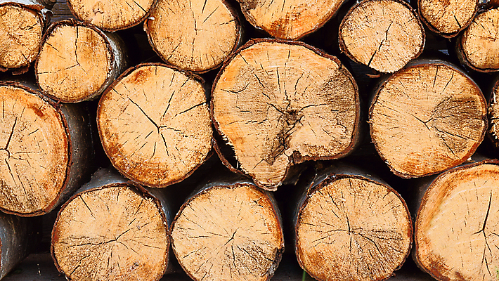 포토 JPG 해외이미지 나무 식물 디자인 계절 산업 벽 백그라운드 패턴 자연 불 추상 사람없음 야외 목재 갈색 쌓기 환경 재활용 성장 시골 뜨거움 거친 그룹 주식 숲 자르기 묘사 오브젝트 벽난로 질감 날것 통나무 연료 잡동사니 내추럴 벌목 수목 옛날 해외202004 해외포토 자연요소 컬러 무늬 재료 모션 금융 친환경 생태계 파일형식 이미지허브