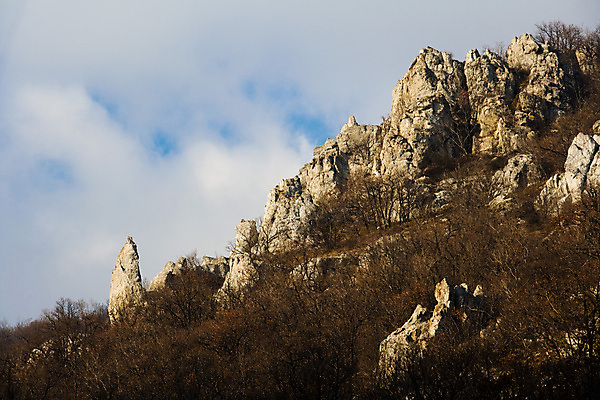 포토 JPG 해외이미지 나무 겨울 산 풍경 사람없음 일몰 바위 숲 불가리아 해외202004 해외포토 식물 계절 노을 돌_바위 파일형식 남유럽 이미지허브