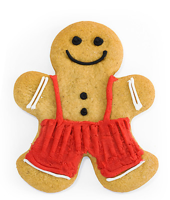 포토 JPG 해외이미지 스튜디오촬영 모양 전통 계절 행복 음식 크리스마스 바지 버튼 디저트 미소 사람없음 장식 쿠키 얼음 축제 대접 달콤 자르기 굽기 향신료 흰배경 생강 고립 핸드메이드 해외202004 해외포토 자연요소 기념일 감정 백그라운드 채소 모션 하의 실내 표정 흰색 맛 구이 향미료 파일형식 이미지허브