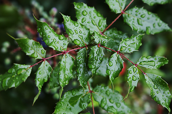 포토 JPG 해외이미지 나무 계절 백그라운드 잎 자연 벽지 추상 사람없음 야외 물 노란색 활발 가을 나뭇가지 떨어짐 질감 내추럴 고립 해외202004 해외포토 자연요소 식물 컬러 컨셉 무늬 생태계 파일형식 이미지허브