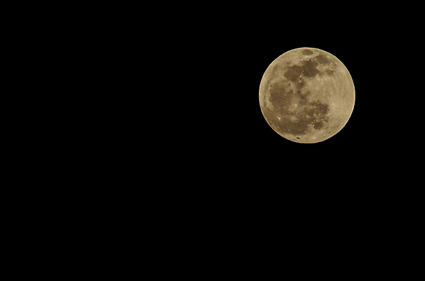 포토 JPG 해외이미지 사람없음 야외 보름달 달 야간 해외202004 해외포토 자연요소 파일형식 이미지허브