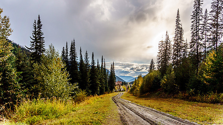 포토 JPG 해외이미지 나무 구름 계절 도로 길 잎 자연 하늘 아침 바람 날씨 풍경 경사 사람없음 빛 태양 환경 추위 안개 광선 가을 숲 시원함 진흙 단절 땅바닥 해외202004 해외포토 주간 자연요소 식물 교통시설 바닥 생태계 파일형식 이미지허브