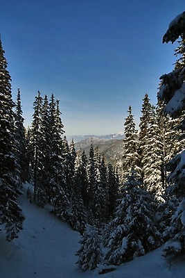 포토 JPG 해외이미지 나무 구름 외관 계절 길 스포츠 조각 여행 크리스마스 겨울 가족 자연 하늘 바람 휴가 스키 산 그림자 풍경 사람없음 야외 목재 파란색 빛 평화 얼음 추위 스케이팅 흰색 소나무 그룹 휴양지 서리 엽서 노예 땅바닥 폭설 해외202004 해외포토 자연요소 식물 기념일 컬러 컨셉 재료 관계 날씨 겨울스포츠 바닥 눈_날씨 장소 자연재해 편지 생태계 파일형식 이미지허브