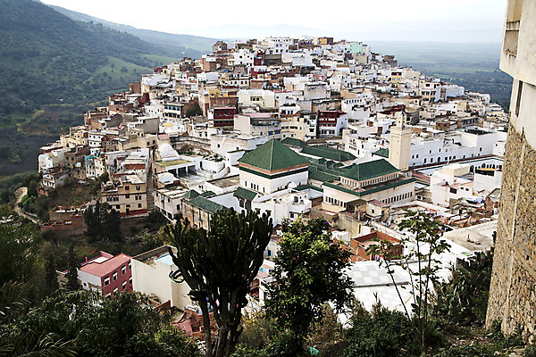 포토 JPG 해외이미지 나무 식물 전통 외관 종교 문화 여행 밭 건축양식 아프리카 거리 주택 풍경 사람없음 건물 마을 계곡 궁전 바위 시골 도시 중세 역사 이슬람교 언덕 신성 지역 타운 모로코 강화 메디나 아랍어 지도책 해외202004 해외포토 건축물 건축 나라 고건축 농업 책 돌_바위 파일형식 이미지허브