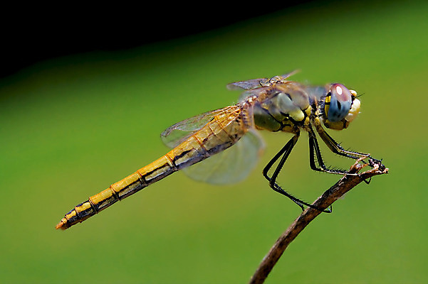 포토 JPG 해외이미지 휴식 사람없음 초록색 노란색 베르데 해외202004 해외포토 컬러 컨셉 파일형식 이미지허브