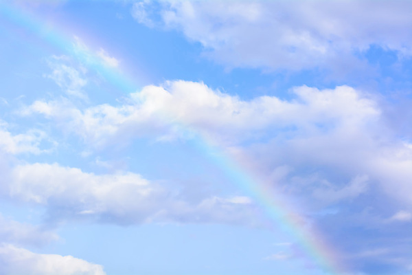 포토 JPG 해외이미지 백그라운드 무지개 오렌지 벽지 하늘 추상 사람없음 빨간색 초록색 파란색 빛 태양 노란색 스크린 남색 제비꽃 스펙트럼 해외202004 해외포토 자연요소 꽃 컬러 무늬 과일 파일형식 이미지허브