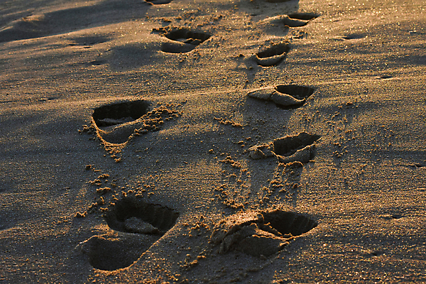 포토 JPG 해외이미지 교육 어린이 모래 여행 백그라운드 컨셉 지도 오렌지 맨발 발 자연 추상 휴가 사람 성인 사람없음 야외 가로 여름 빛 모래사장 반사 걷기 사진촬영 일몰 산책 육아 인쇄 발자국 방향 트랙 발가락 남아프리카 선로 양발 해외202004 해외포토 계절 바다 무늬 과일 자국 모션 아프리카 휴식 신체부위 노을 촬영 생태계 파일형식 이미지허브