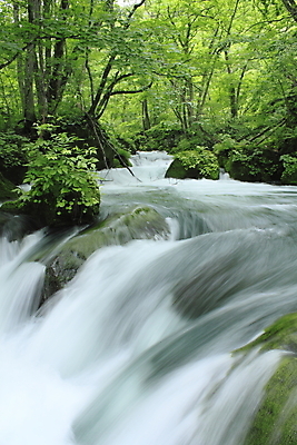 포토 JPG 해외이미지 나무 자연 사람없음 초록색 물 햇빛 일본 힘 폭포 광선 해외202004 해외포토 자연요소 식물 아시아 컬러 태양 생태계 파일형식 이미지허브