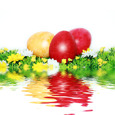 포토 JPG 해외이미지 전통 디자인 계절 꽃 행복 기독교 종교 음식 백그라운드 꽃무늬 패턴 자연 휴가 부활절 창조 선물 사람없음 장식 빨간색 초록색 컬러풀 계란 페인트 놀람 봄 흰색 축하 토끼 둥지 4월 수집 심볼 고립 해외202004 해외포토 식물 기념일 감정 컬러 컨셉 무늬 포유류 표정 반려동물 알 날짜 생태계 파일형식 이미지허브