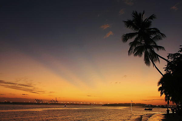 포토 JPG 해외이미지 나무 모래 바다 섬 여행 오렌지 자연 하늘 휴가 손바닥 풍경 사람없음 야외 물 여름 모래사장 컬러풀 태양 일출 기댐 일몰 만 보트 석호 공화국 이국적 파라다이스 해외202004 해외포토 자연요소 식물 손 계절 나라 컬러 배_교통 과일 모션 노을 생태계 파일형식 이미지허브