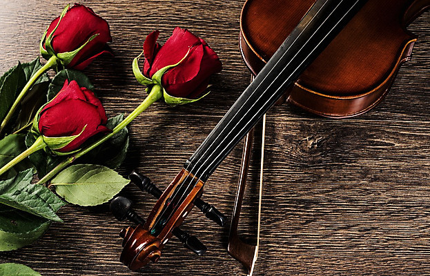 포토 JPG 해외이미지 사람없음 장미 우아함 바이올린 나무바닥 바이올린활 해외202004 해외포토 꽃 컨셉 현악기 바닥 파일형식 이미지허브