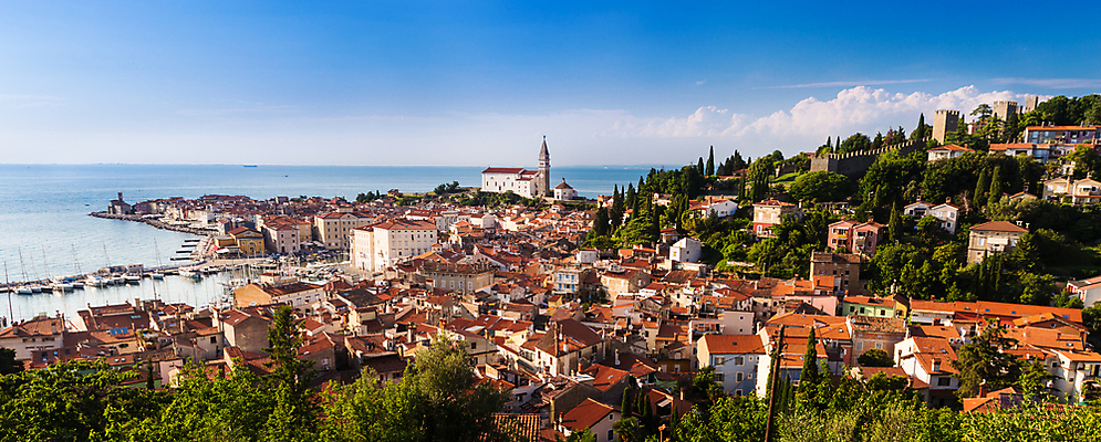 포토 JPG 해외이미지 나무 유럽 벽 바다 여행 건축양식 지붕 주택 파노라마 풍경 사람없음 건물 초록색 물 여름 파란색 성당 교회 여행객 마을 항구 도시 소나무 보트 중세 역사 지중해 맨션 시력 정사각형 포트 타운 슬로베니아 옛날 해외202004 해외포토 자연요소 도형 식물 건축물 계절 건축 나라 컬러 배_교통 종교건축 교통시설 촬영기법 사람 파일형식 이미지허브