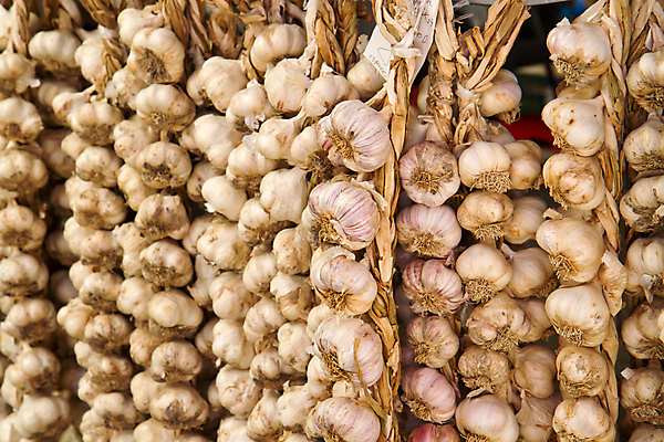 포토 JPG 해외이미지 전통 문화 줄 음식 백그라운드 패턴 농업 채소 재료 전구 양파 건조 매달리기 건강 마늘 요리 사람없음 목재 농장 갈색 주방 흰색 시골 신선 양념 조미료 거친 시장 다발 묶기 허브 향신료 보따리 유기농 질감 복고 향 내추럴 옛날 채식주의자 많음 해외202004 해외포토 나무 식물 웰빙 산업 컬러 컨셉 무늬 모션 채식 향미료 파일형식 이미지허브
