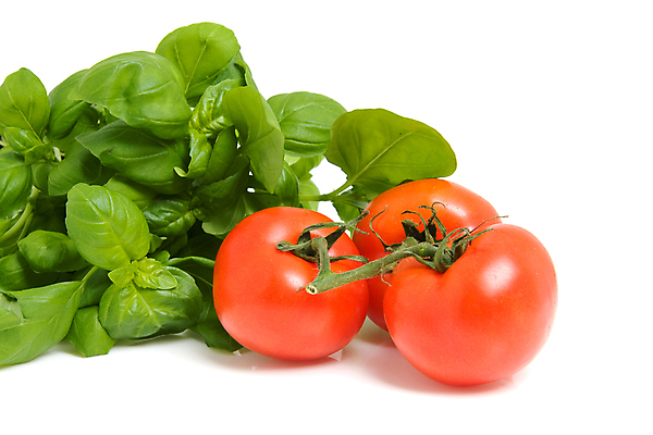 포토 JPG 해외이미지 식물 음식 잎 토마토 채소 재료 사람없음 빨간색 초록색 검은색 신선 맛 냄비 허브 향신료 매움 향 바질 내추럴 고립 영원 해외202004 해외포토 컬러 컨셉 솥 향미료 파일형식 이미지허브