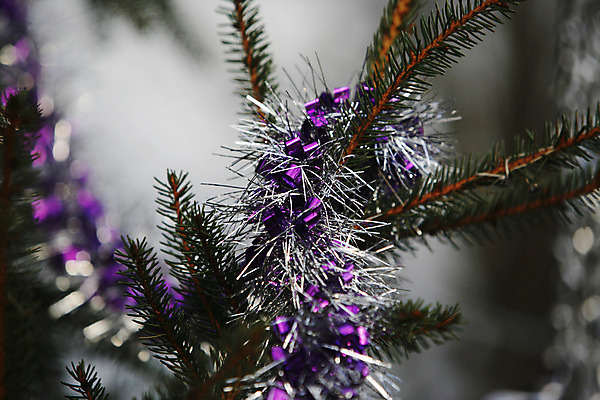 포토 JPG 해외이미지 나무 전통 계절 크리스마스 겨울 공 놀이 휴가 선물 사람없음 빨간색 산타클로스 축하 12월 해외202004 해외포토 식물 기념일 컬러 컨셉 날짜 파일형식 이미지허브