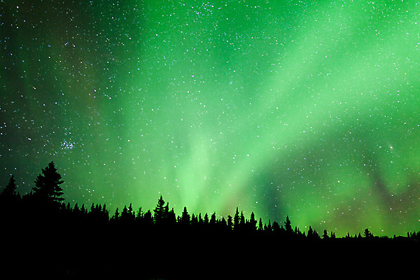 포토 JPG 해외이미지 나무 구름 별 호수 캐나다 자연 하늘 전등 풍경 사람없음 야외 초록색 파란색 빛 반사 꿈 거울 소용돌이 야간 숲 영토 천문학 북쪽 알래스카 빛망울 오로라 광 현상 해외202004 해외포토 자연요소 식물 교육 컬러 북아메리카 자연현상 조명 미국 회오리 방향 생태계 파일형식 이미지허브