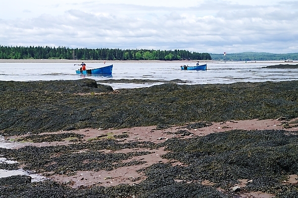 포토 JPG 해외이미지 구름 바다 자연 하늘 사람없음 물 조약돌 바위 보트 해외202004 해외포토 자연요소 배_교통 돌_바위 생태계 파일형식 이미지허브