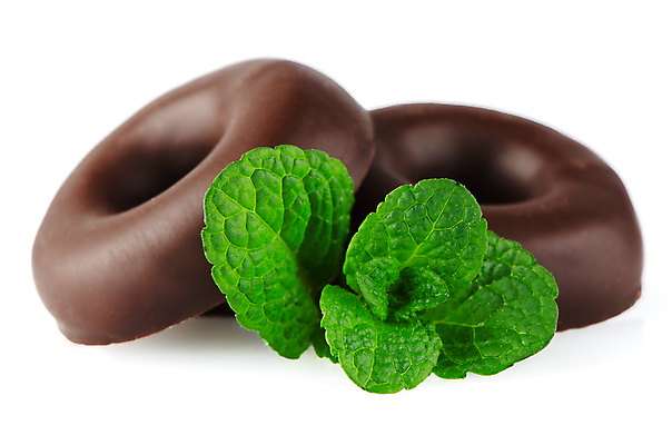 포토 JPG 해외이미지 디저트 실내 사람없음 두개 도넛 달콤 민트 흰배경 초코쿠키 해외202004 해외포토 음식 백그라운드 2 내부 쿠키 흰색 맛 허브 파일형식 이미지허브