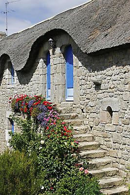 포토 JPG 해외이미지 꽃 창문 사람없음 파란색 계단 프랑스 묘사 해외202004 해외포토 식물 유럽 컬러 파일형식 이미지허브