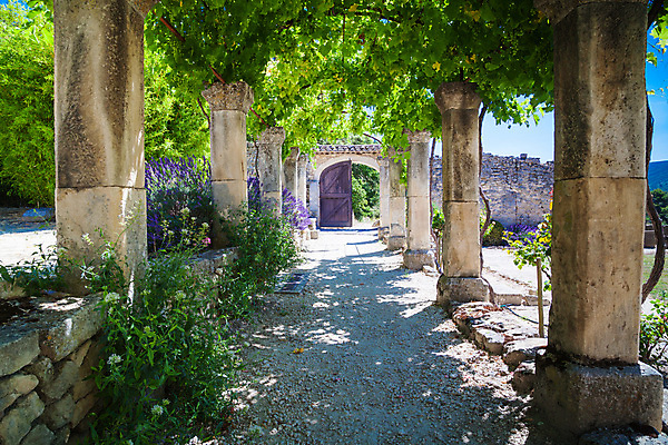 포토 JPG 해외이미지 식물 꽃 유럽 여행 밭 건축양식 자연 풍경 사람없음 건물 교회 보라색 프랑스 시골 개화 수도원 라벤더 수녀원 옛날 프로방스 해외202004 해외포토 건축물 건축 나라 컬러 농업 종교건축 허브 생태계 파일형식 이미지허브