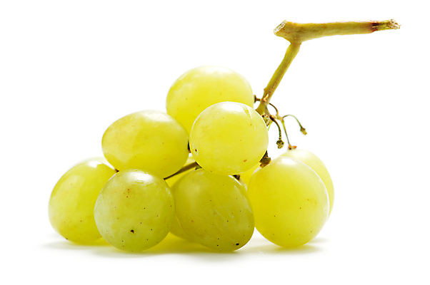 포토 JPG 해외이미지 열매 음식 과일 자연 포도 디저트 사람없음 초록색 흰색 신선 그룹 다발 날것 고립 숙성 채식주의자 해외202004 해외포토 식물 컬러 생태계 채식 파일형식 이미지허브