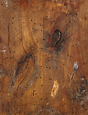 포토 JPG 해외이미지 나무 선 벽 가구 백그라운드 자연 탁자 표면 바닥 주택 사람없음 내부 목재 어둠 균열 닫기 나무껍질 쉬운 옛날 못생김 해외202004 해외포토 식물 생활용품 재료 모션 건물 껍질 생태계 파일형식 이미지허브