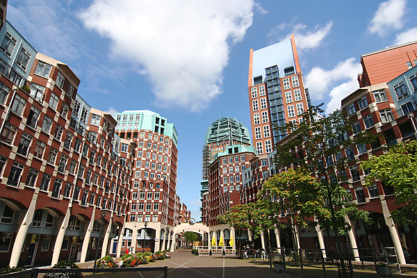 포토 JPG 해외이미지 나무 구름 건축양식 하늘 주택 사람없음 사무실 도시 네덜란드 광장 리빙 개발 프로젝트 해외202004 해외포토 자연요소 식물 건축 유럽 비즈니스 건물 파일형식 이미지허브