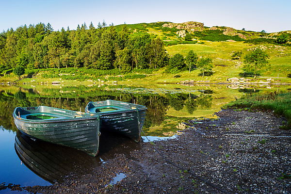 포토 JPG 해외이미지 나무 영어 계절 공원 호수 이동 자연 영국 잉글랜드 풍경 사람없음 야외 초록색 물 여름 노란색 바위 흰색 시골 개울 큼 지역 건너기 왕국 컴브리아주 해외202004 해외포토 자연요소 식물 문자 공공시설 유럽 컬러 컨셉 모션 강 돌_바위 크기 생태계 파일형식 이미지허브