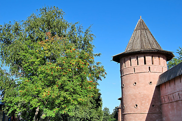 포토 JPG 해외이미지 나무 벽 분홍색 여행 백그라운드 하늘 지붕 왕관 벽돌 산 버스 풍경 사람없음 야외 건물 목재 빨간색 초록색 여름 파란색 탑 총 반지 성 황금 보호 러시아 러시아인 재 전국 크렘린궁전 해외202004 해외포토 서양인 식물 건축물 계절 유럽 무기 육상교통 컬러 컨셉 재료 장신구 대중교통 궁전 크렘린 파일형식 이미지허브