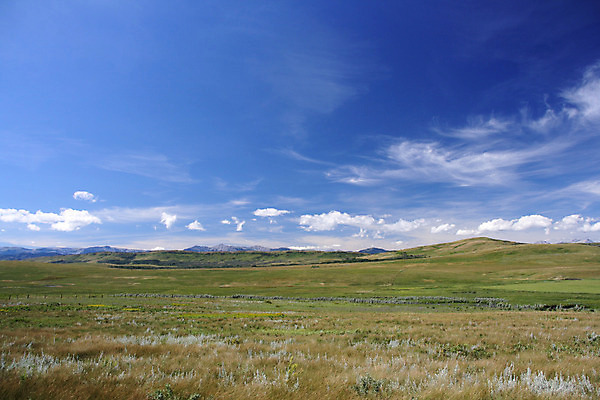 포토 JPG 해외이미지 구름 캐나다 밭 자연 하늘 바람 날씨 풍경 사람없음 여름 파란색 컬러풀 환경 미국 활발 흰색 시골 내추럴 강렬 수평선 해외202004 해외포토 자연요소 계절 컬러 컨셉 북아메리카 농업 생태계 파일형식 이미지허브
